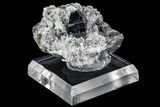 Anatase Crystal On Adularia - Hardangervidda, Norway #111420-2